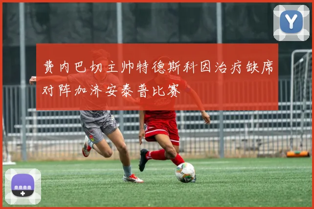 费内巴切主帅特德斯科因治疗缺席对阵加济安泰普比赛
