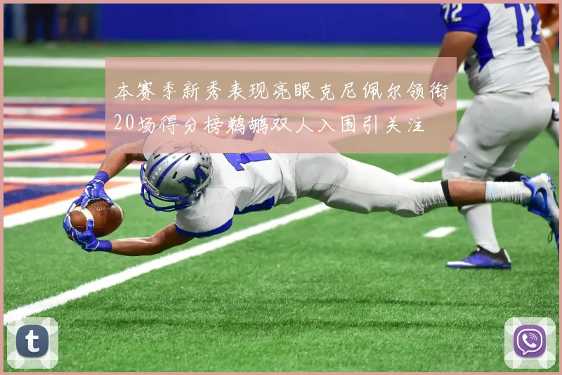 本赛季新秀表现亮眼克尼佩尔领衔20场得分榜鹈鹕双人入围引关注